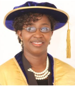 Professor Deborah Omotsefe Odejimi. PhD, FMNES, MAEA
